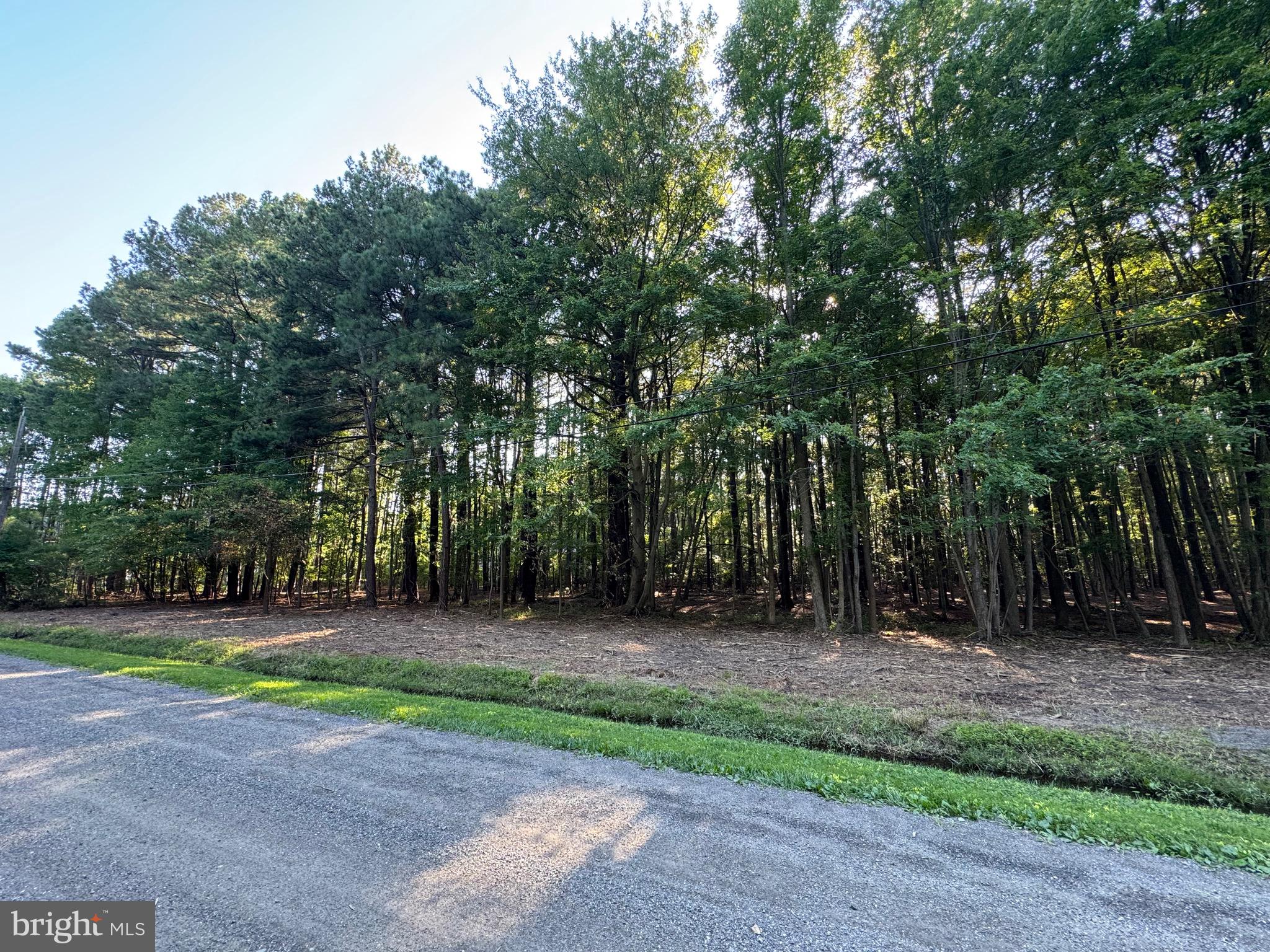 142 OLIVE BRANCH ROAD LOT 7