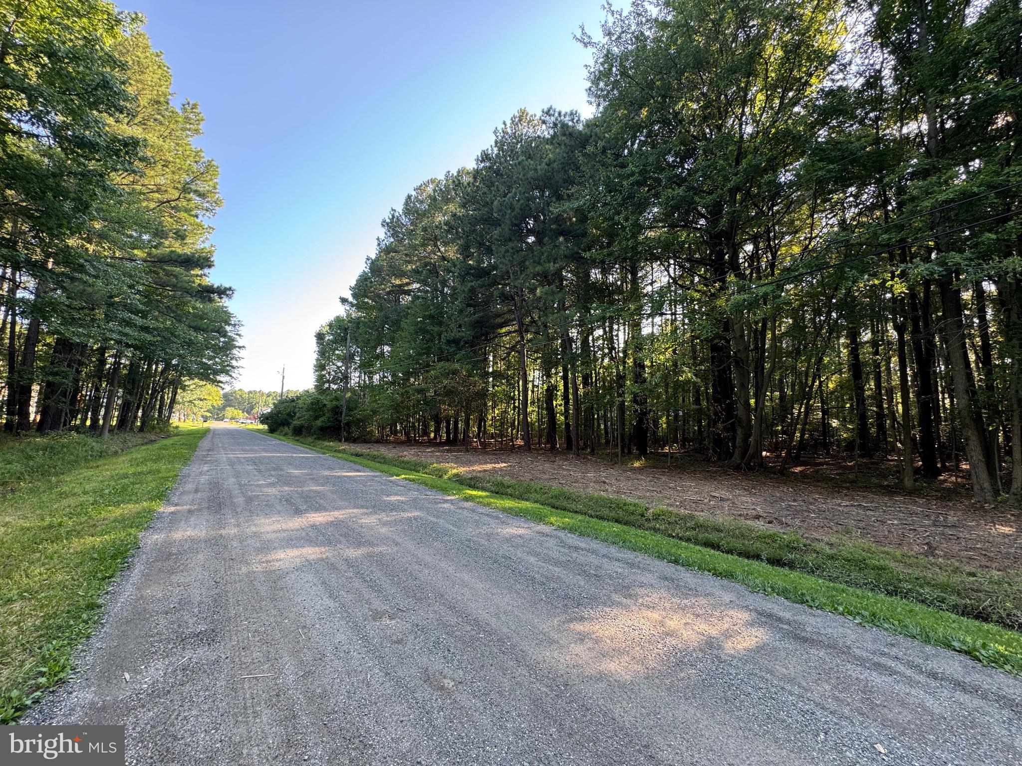 142 OLIVE BRANCH ROAD LOT 7