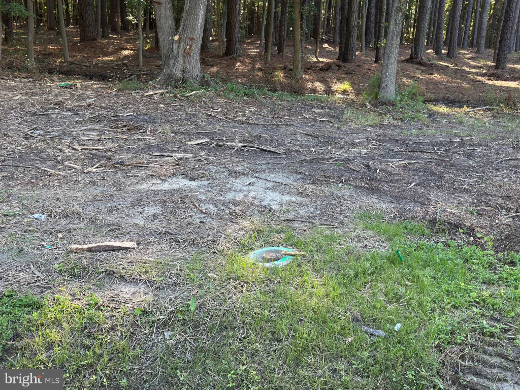 142 Olive Branch Road Lot 7, Stevensville, MD 21666