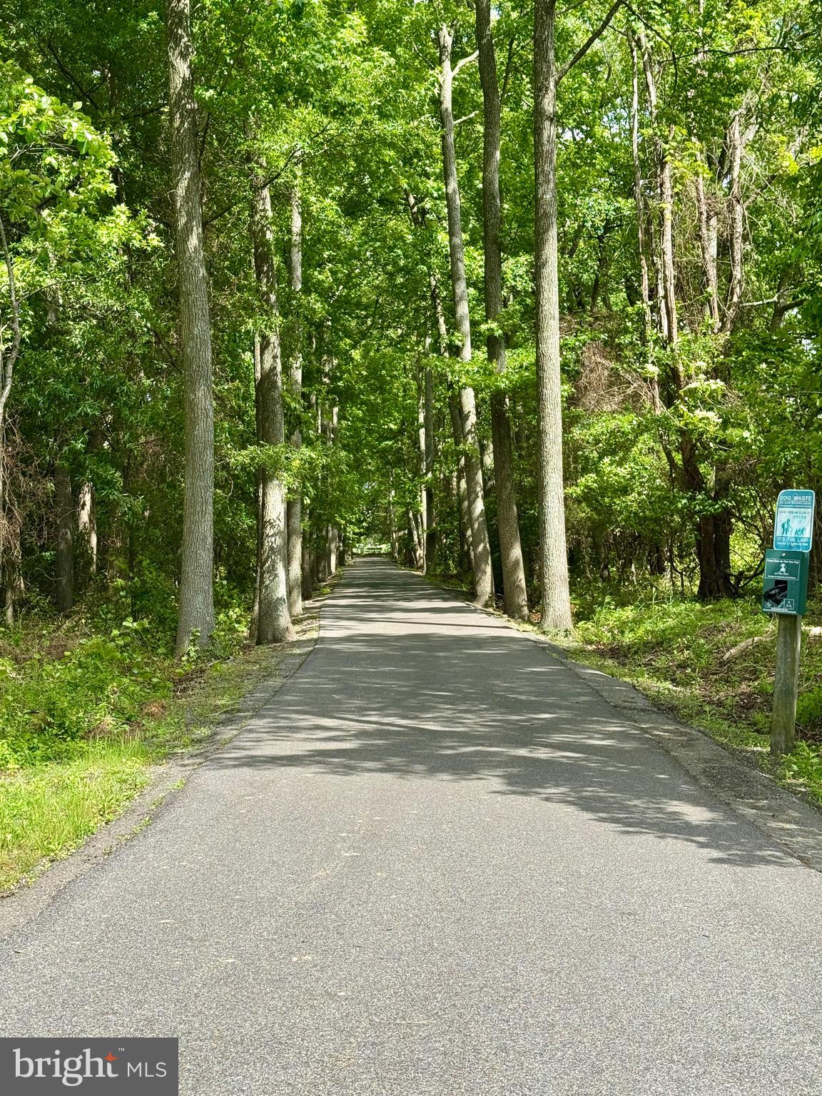 BAYSIDE - Residential