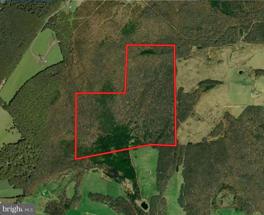 Rippeon & Co. is pleased to present Trout Run Hardwoods, a beautiful 157 +/- acres of hardwoods located in Garrett County within minutes of Deep Creek Lake and Oakland, MD. This is a great opportunity to purchase a heavily game populated hunting, recreation, and timber property with a beautiful mountain stream. The property has a half mile deeded ROW off of Steyer Mine Road that has been improved with approximately 100 tons of stone and had a boundary survey plus flagging that was completed in 2021. Once you reach the property you will be welcomed by a very extensive road system throughout the property taking you to every corner. Wildlife sign on the property was very evident, with deer tracks on almost every inch, and deer rubs can be seen quite frequently throughout. Property is also home to a robust population of turkeys, and bear have been taken on the property. The stream bottoms are filled with eastern Hemlocks and mountain laurel, providing plenty of sanctuary for wildlife. Several sections of the property had stands of mountain laurel on the hillside providing the perfect bedding for deer. A nice deer blind can be found on the property, along with a tower stand, that does need some TLC. Property owner has completed a select cut of timber providing a unique opportunity for future use, including food plot areas, additional roads, and timber management. There are two areas that have been cleared for food plots, which have been limed, fertilized, and planted. This property is perfect for the hunter/land manager looking for a completely secluded getaway that will provide future timber investment value. The property owner is a logger who has a lifetime of knowledge in timber business, is a passionate hunter, and wildlife manager. It is of their opinion the property needed a selective cut to enhance the habitat, open the canopy to encourage new forest floor growth, and to generally promote growth of the remaining hardwoods. The ROW is the only access to the property providing security and seclusion at its finest. This property is ready to be taken to the next level with proper timber and wildlife management and will be sure to reward once a management plan is implemented. The seller is open to conversations regarding the selective cut and is eager to work with a buyer to shape the property for future use. NO ZONING RESTRICTIONS, property is outside of the county's zoning ordinances, but we always recommend doing your due diligence. Please contract me today to schedule your own private tour.  Note: Boundary picture is not 100% accurate, please refer to recent survey.