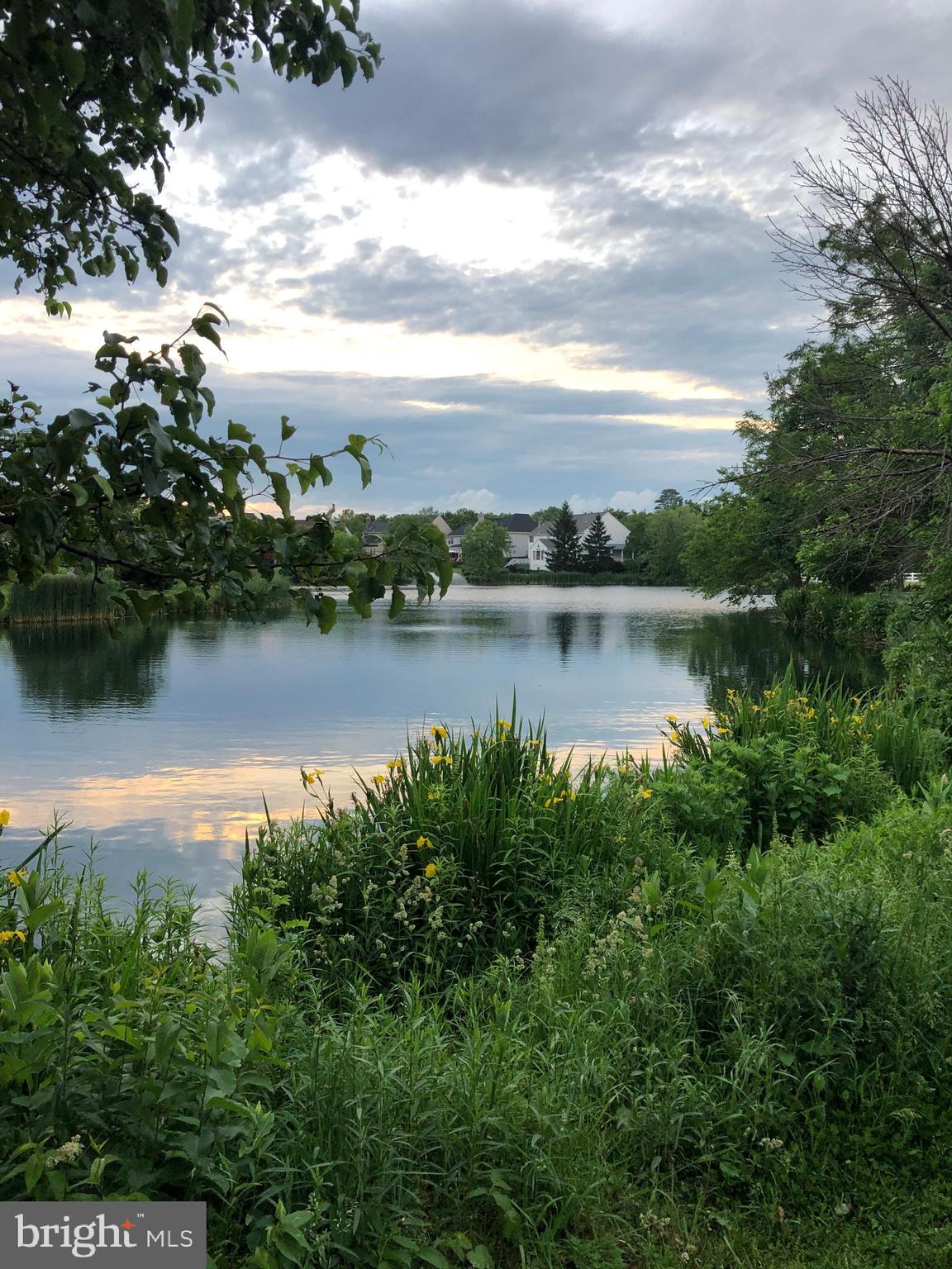 ASHBURN VILLAGE - Residential