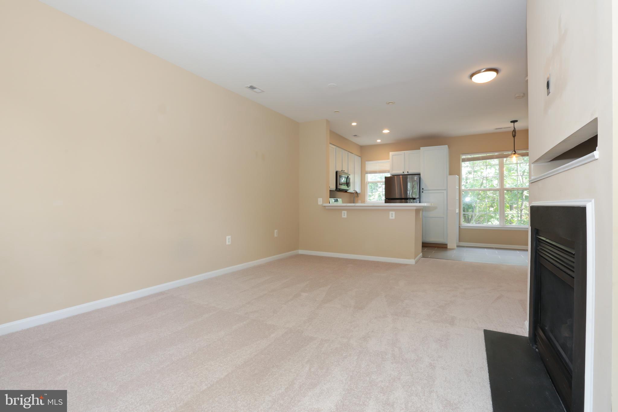 PARKSIDE AT DULLES - Residential