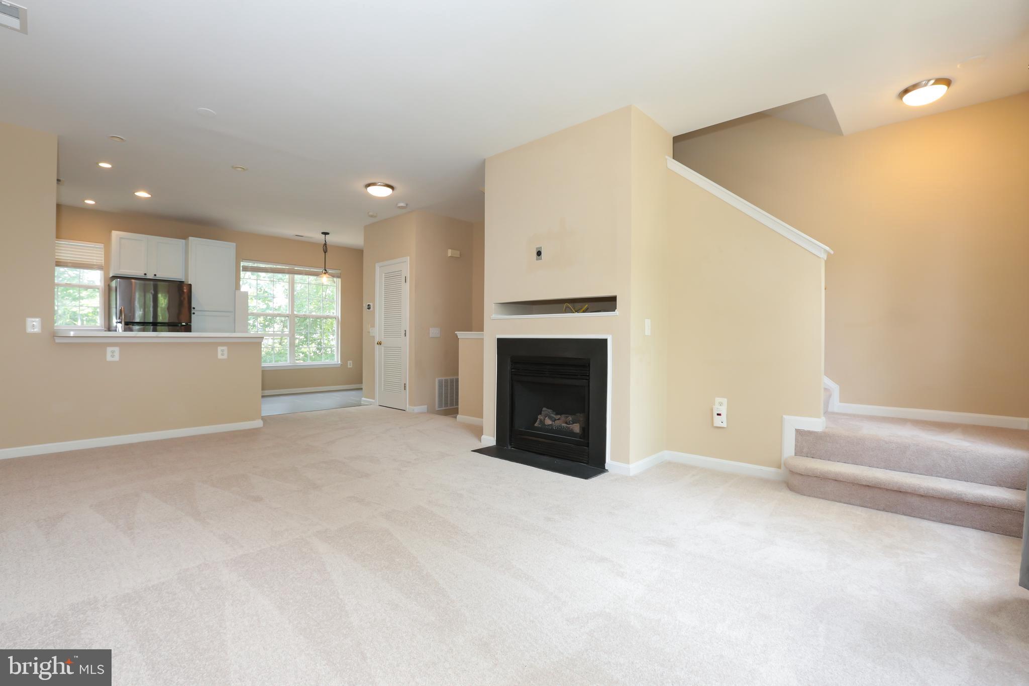 PARKSIDE AT DULLES - Residential