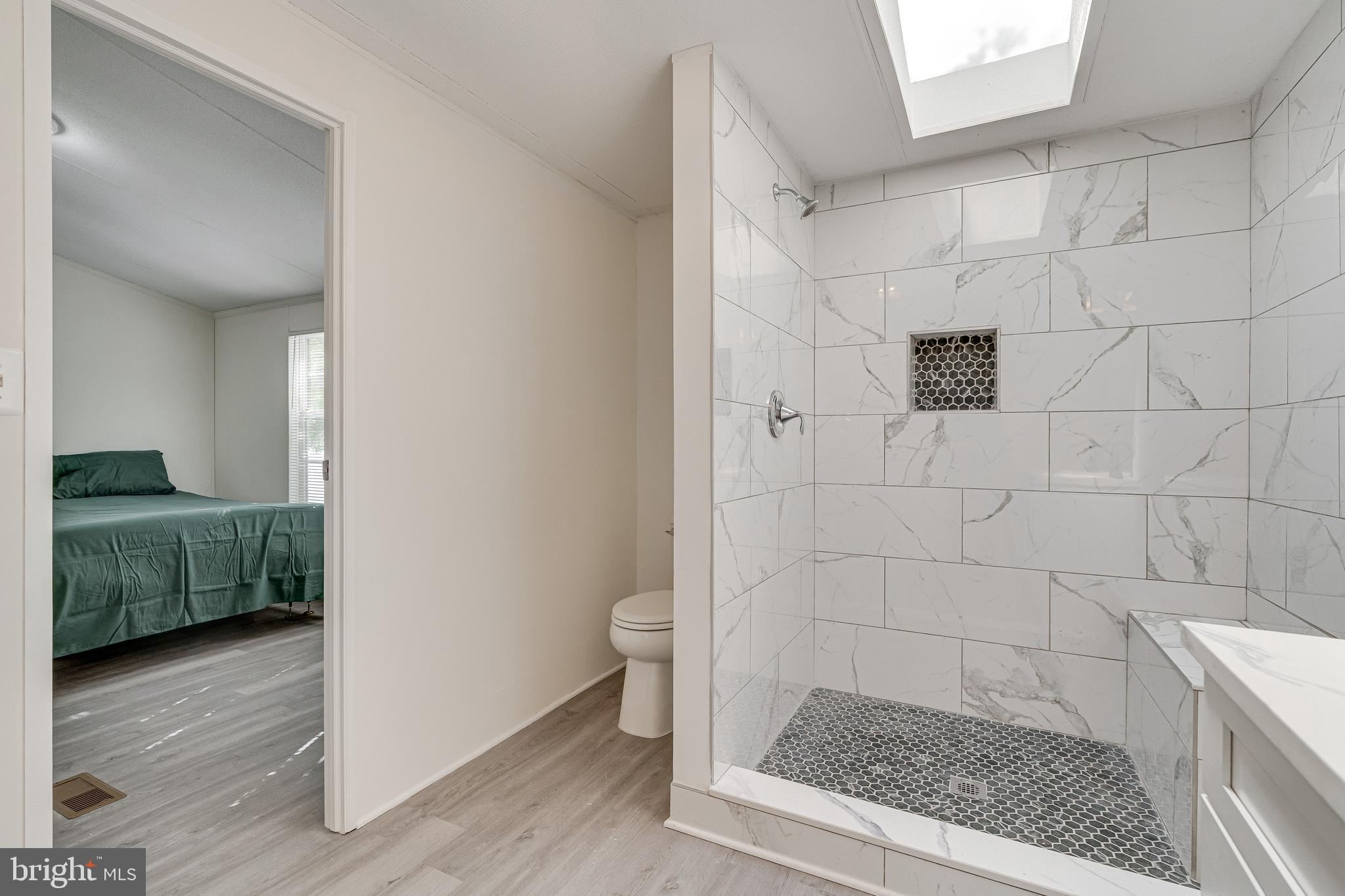 MEADOWS OF CHANTILLY - Residential