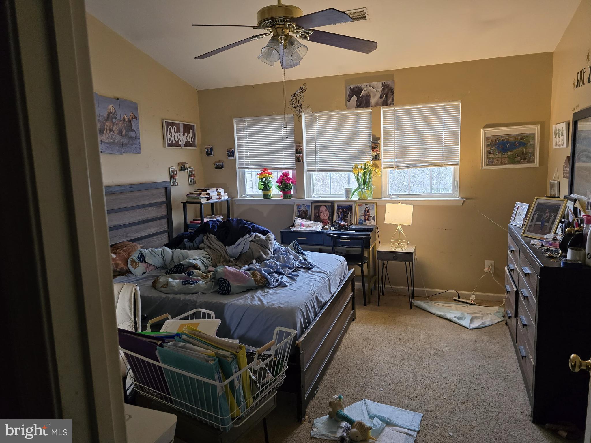 EAGLES VIEW - Residential