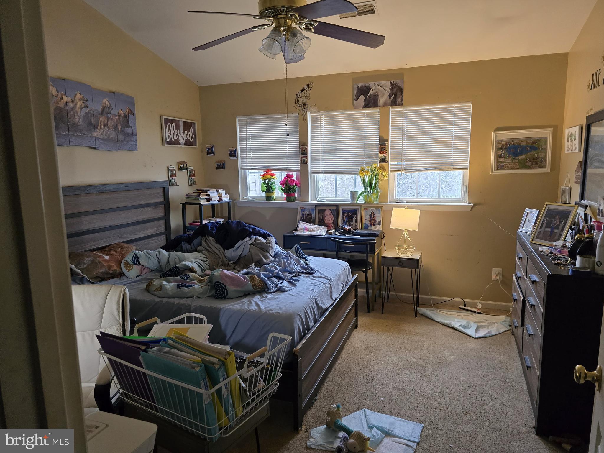 EAGLES VIEW - Residential