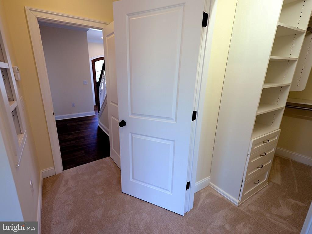 NORTH SHORES - Residential