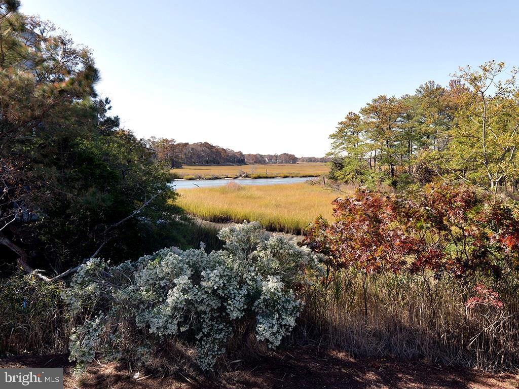 NORTH SHORES - Residential