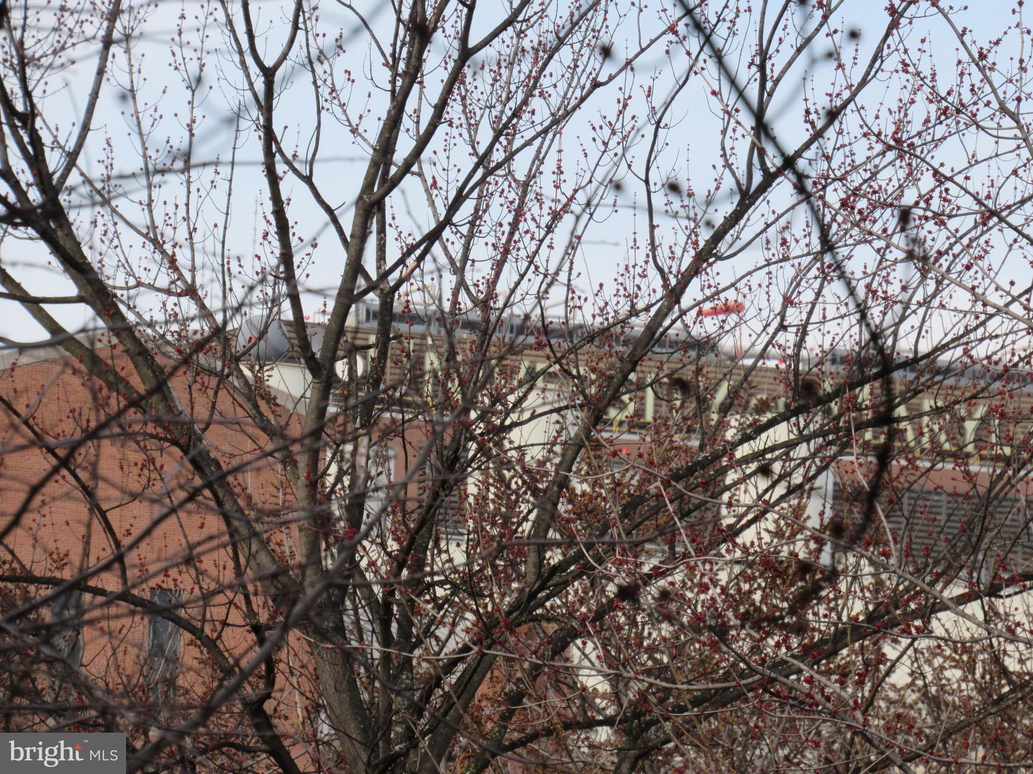 BARRE CIRCLE HISTORIC DISTRICT - Residential Lease