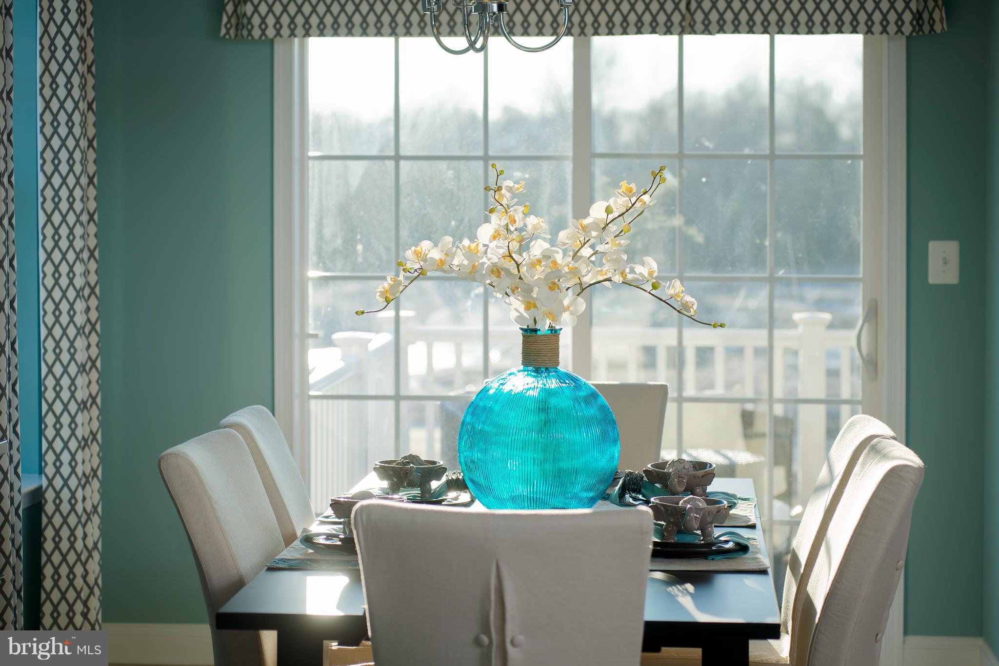 PRESERVE AT WINDLASS RUN - Residential