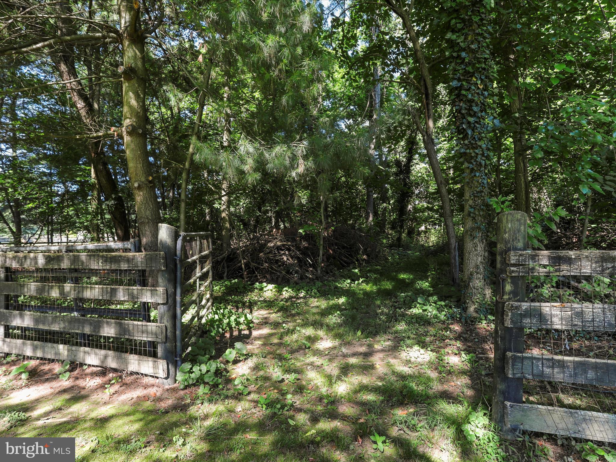 PEMBROKE GROVE - Residential