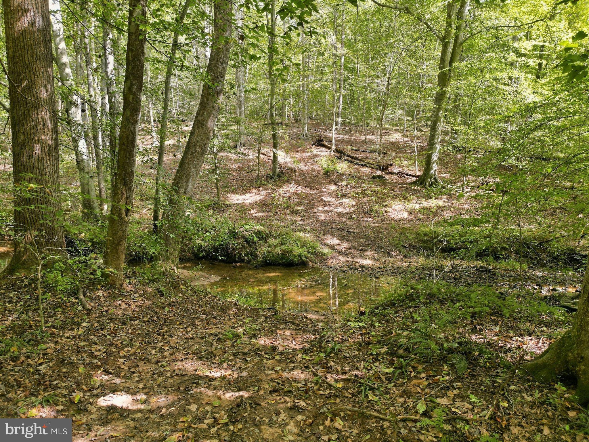 HOLLY SPRINGS ROAD