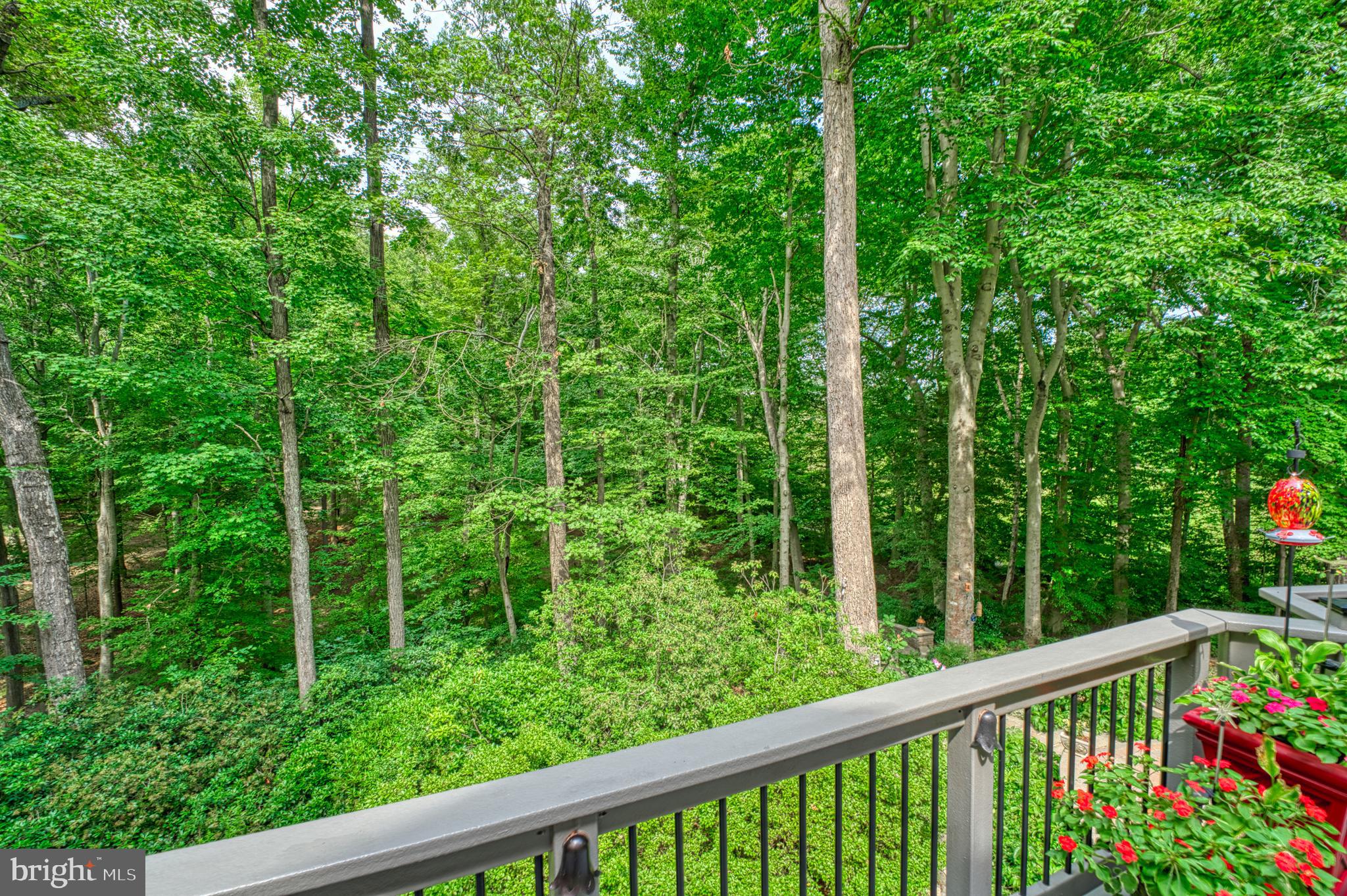 HAMPTON HILLS - Residential