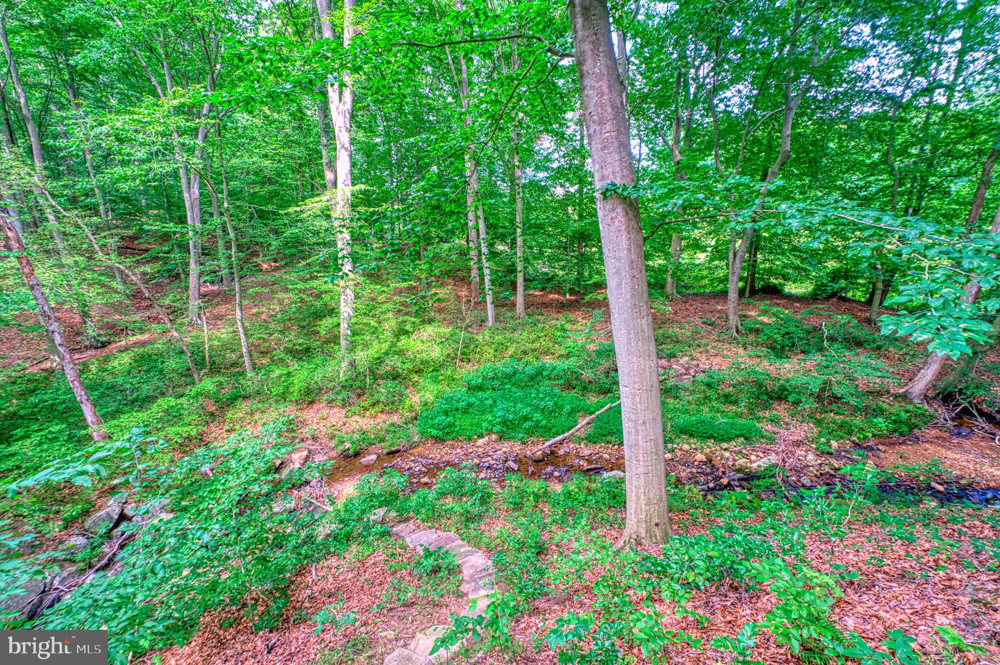 HAMPTON HILLS - Residential