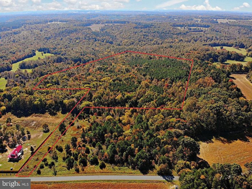 35+/- Acre of Breath taking hunting and recreational land in Halifax County VA! This property is a hunting gem with tons of space for your dream home, mini farm, and all the wildlife access you can want! With beautiful hardwood drains lining 3 separate creeks on the property you have plenty of Mast production for food and plenty of water as well as natural travel corridors for the local wildlife. Tons of scrapes and rubs were seen while getting photos as the 2024 Rut starts to kick into gear! This property has already been perked for a 3 bedroom home and has a 50ft road front access strip allowing you to build your home in the peace and quiet of the forest! The majority of the timber is around 22 years old and has Loblolly pine on the ridges and mixed hardwoods in the valleys. 
 
Less than 30 minutes to South Boston and 30 minutes to Danville VA for all your work or shopping needs! Easy access to HWY 58 to the south which gets you East to West and a few miles from HWY 29 to go North and south quickly!