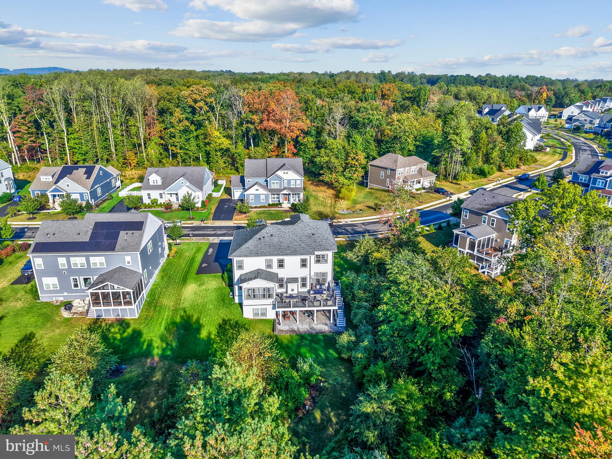 GROVE AT WILLOWSFORD - Residential