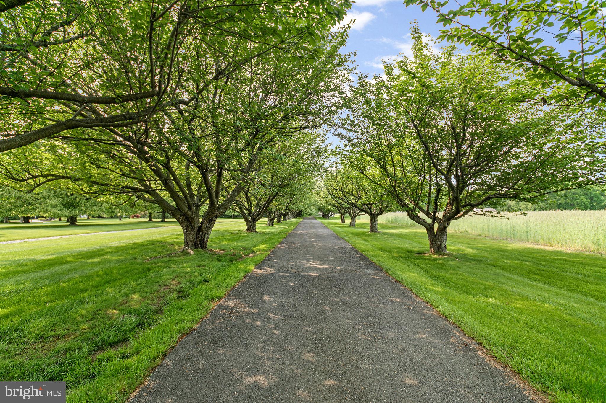 LONG LANE FARMS - Residential