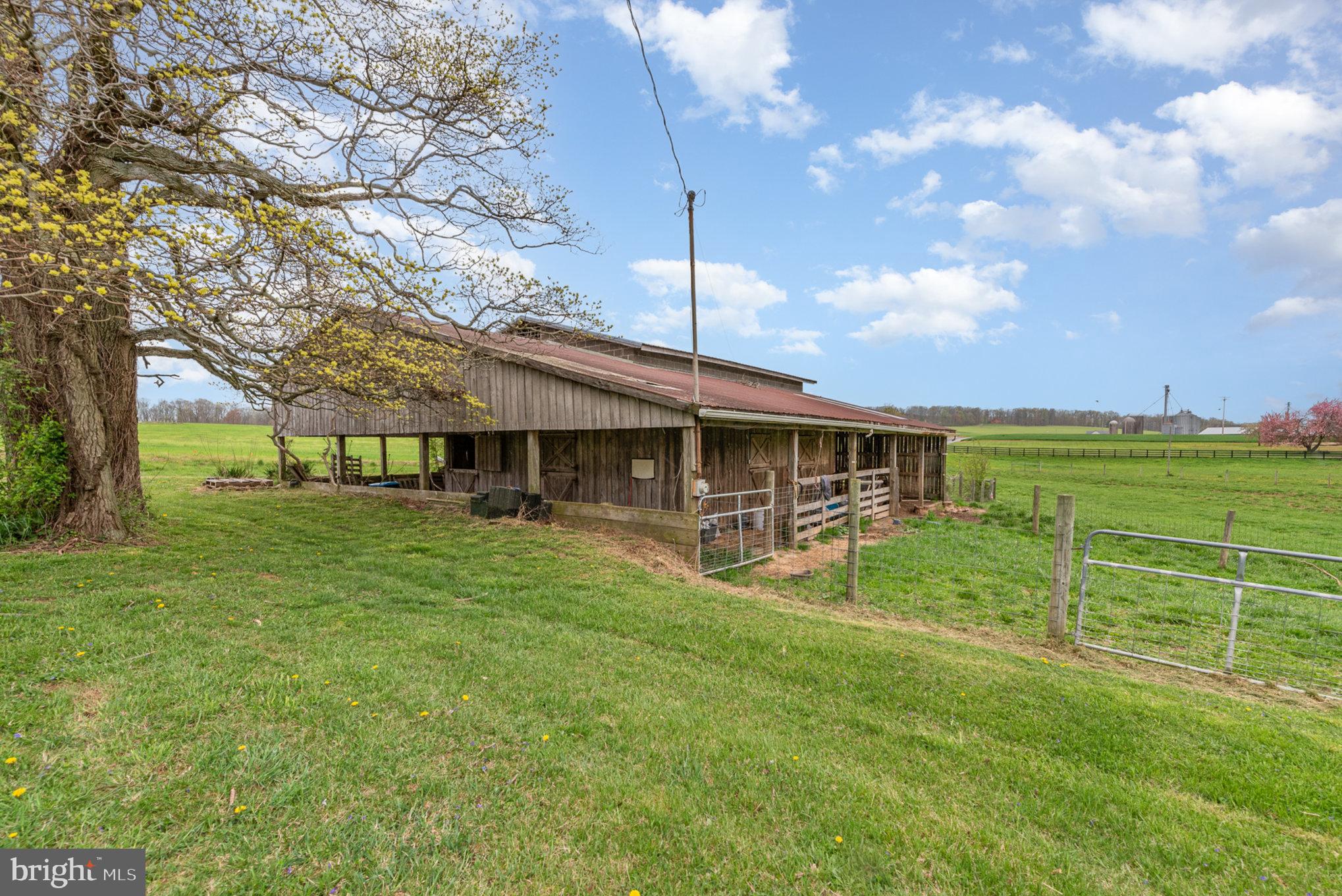 NONE AVAILABLE - Farm