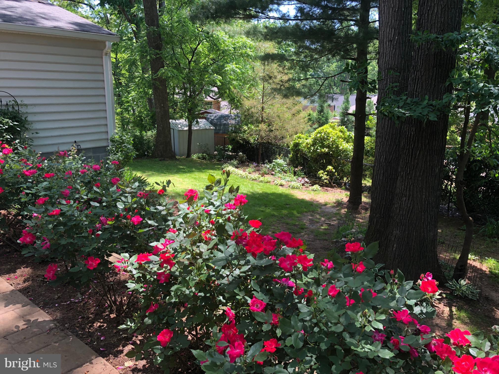 REGENT PARK - Residential