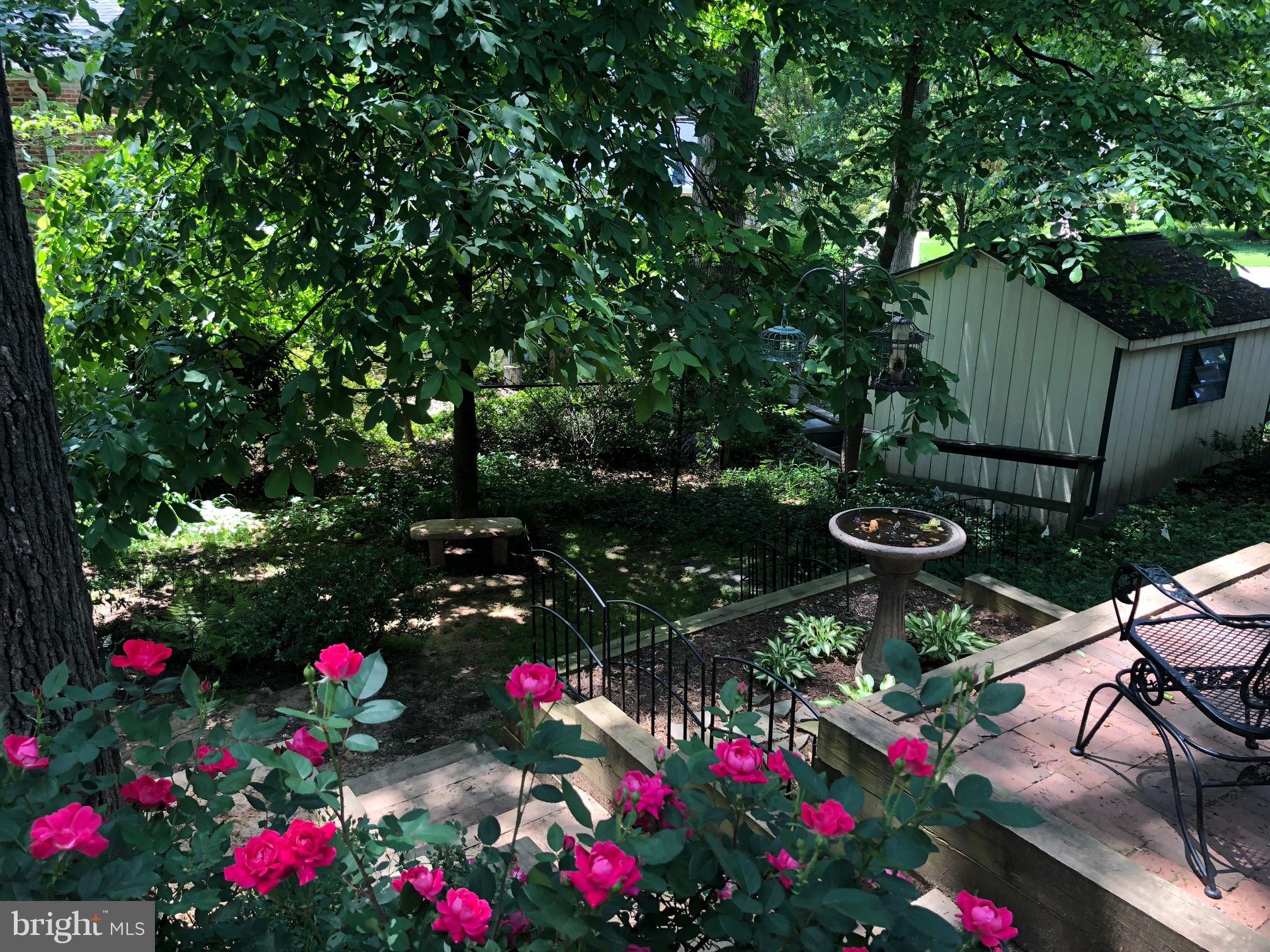 REGENT PARK - Residential