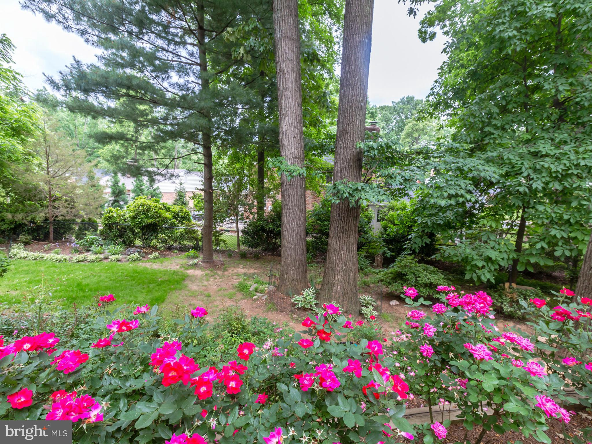 REGENT PARK - Residential