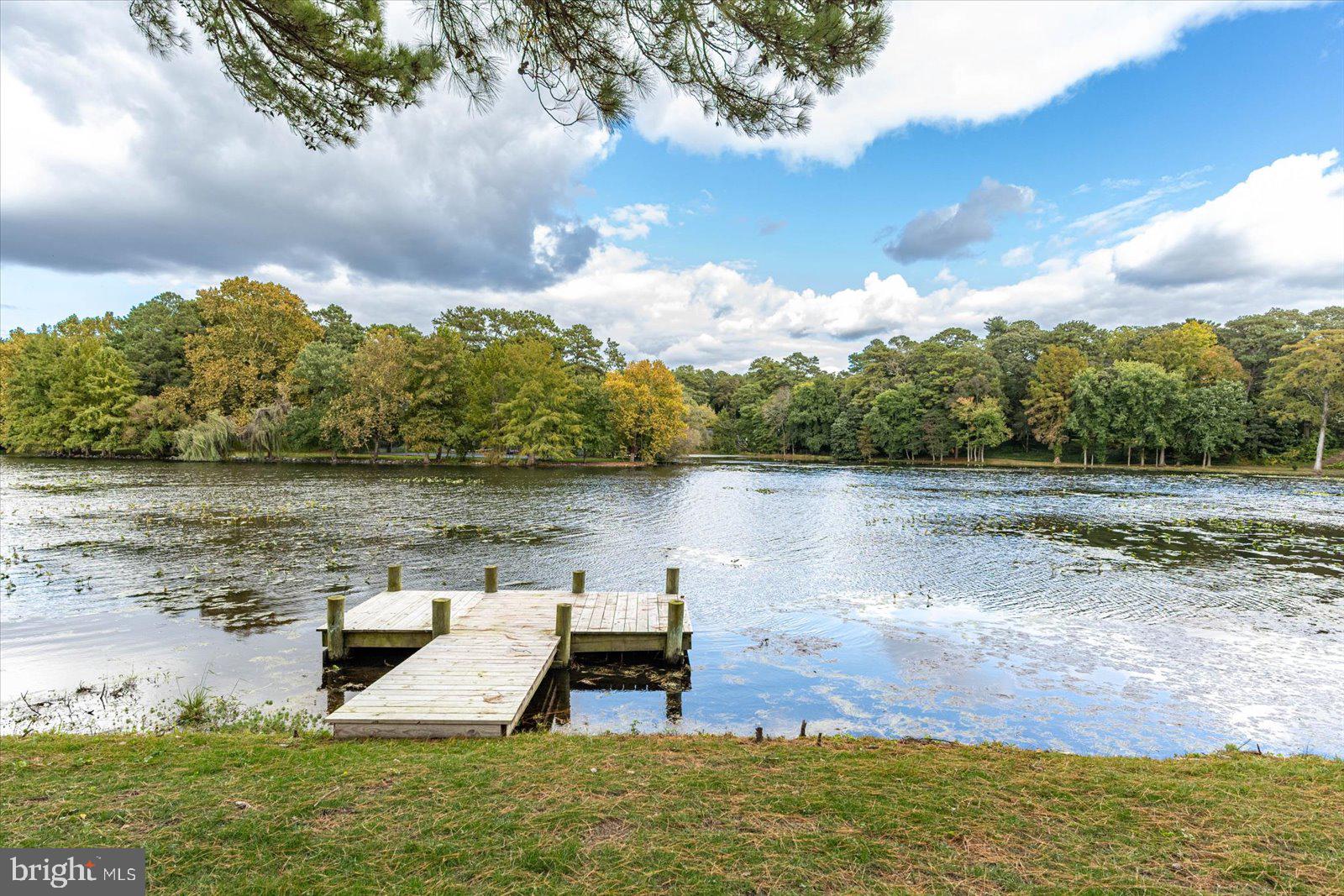 TONY TANK - Residential