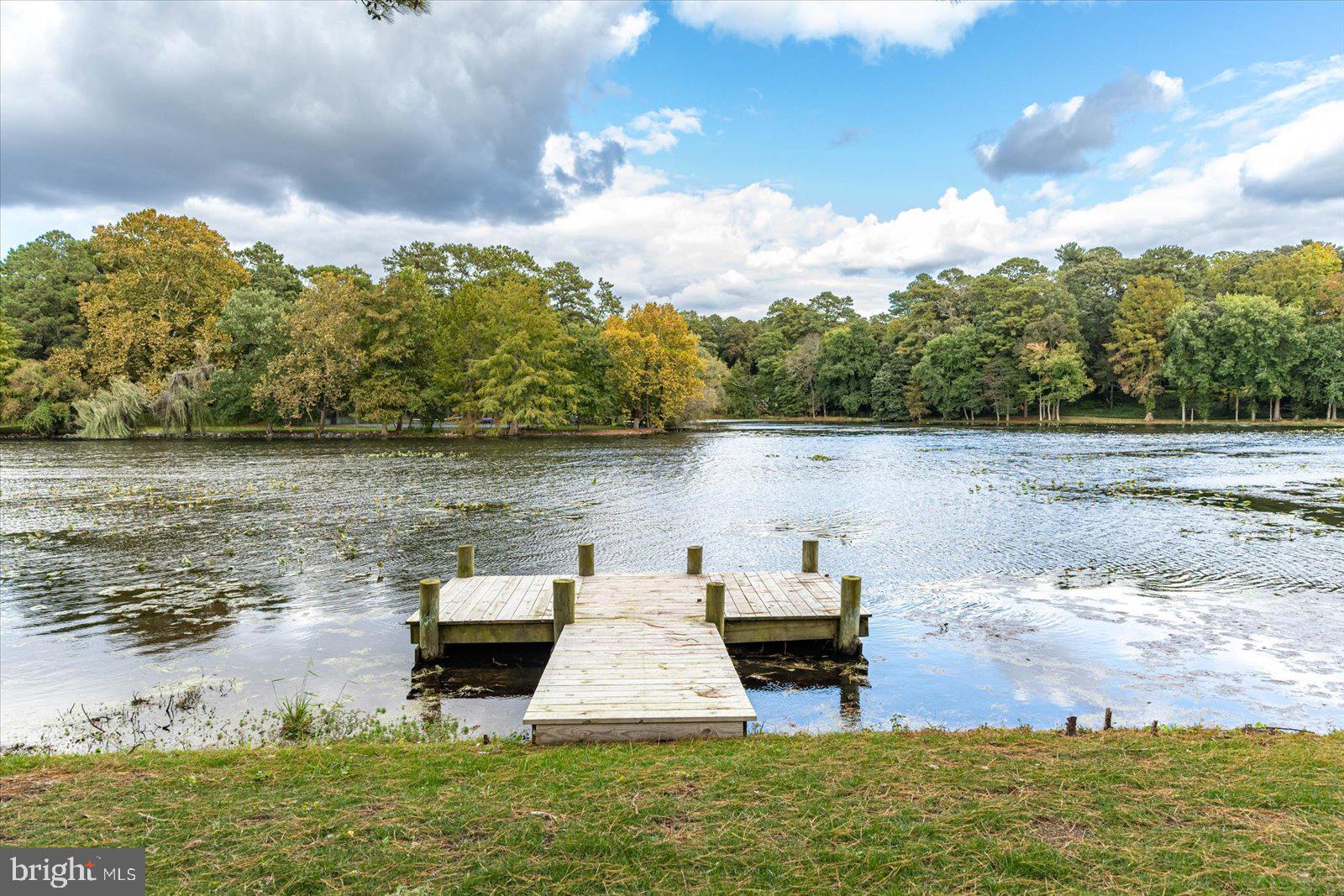TONY TANK - Residential