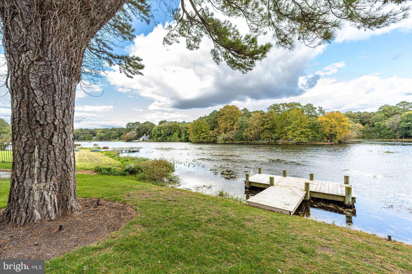 TONY TANK - Residential
