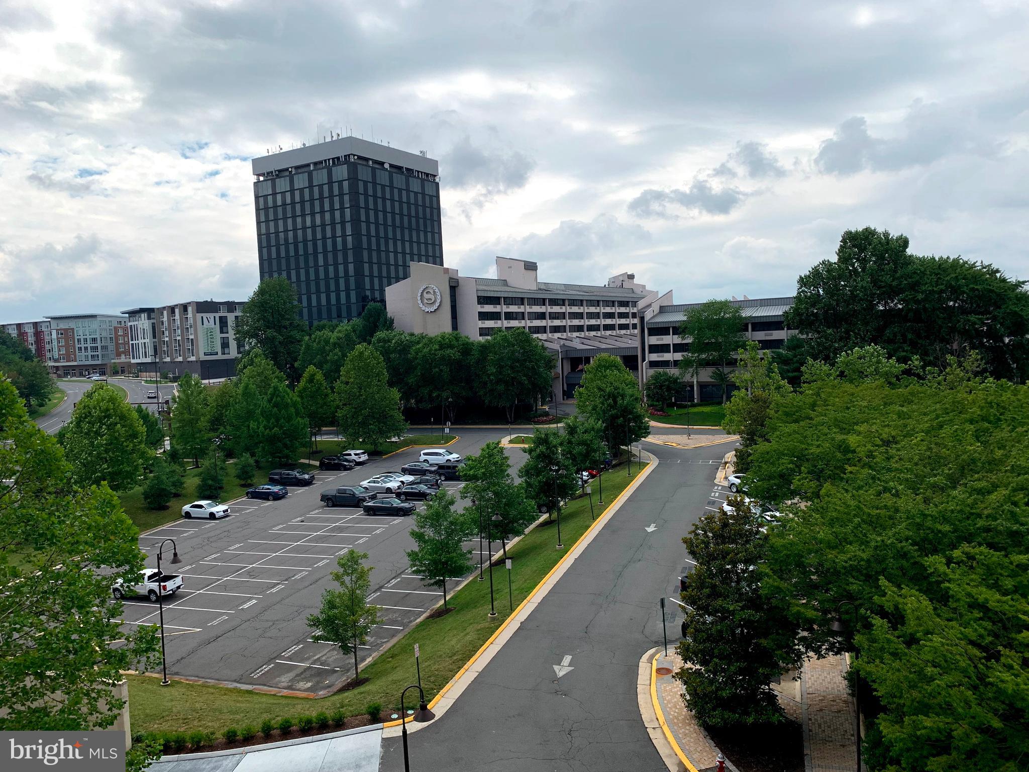 MERCER - Residential Lease