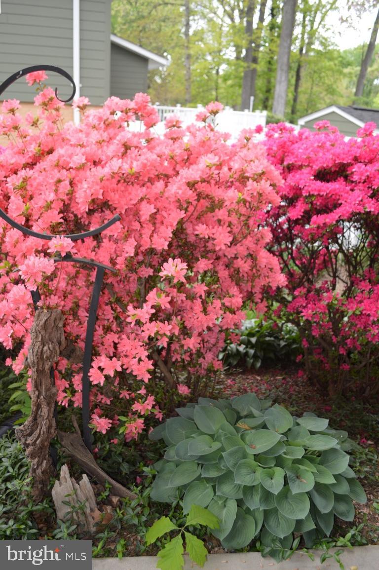 KEENE MILL MANOR - Residential