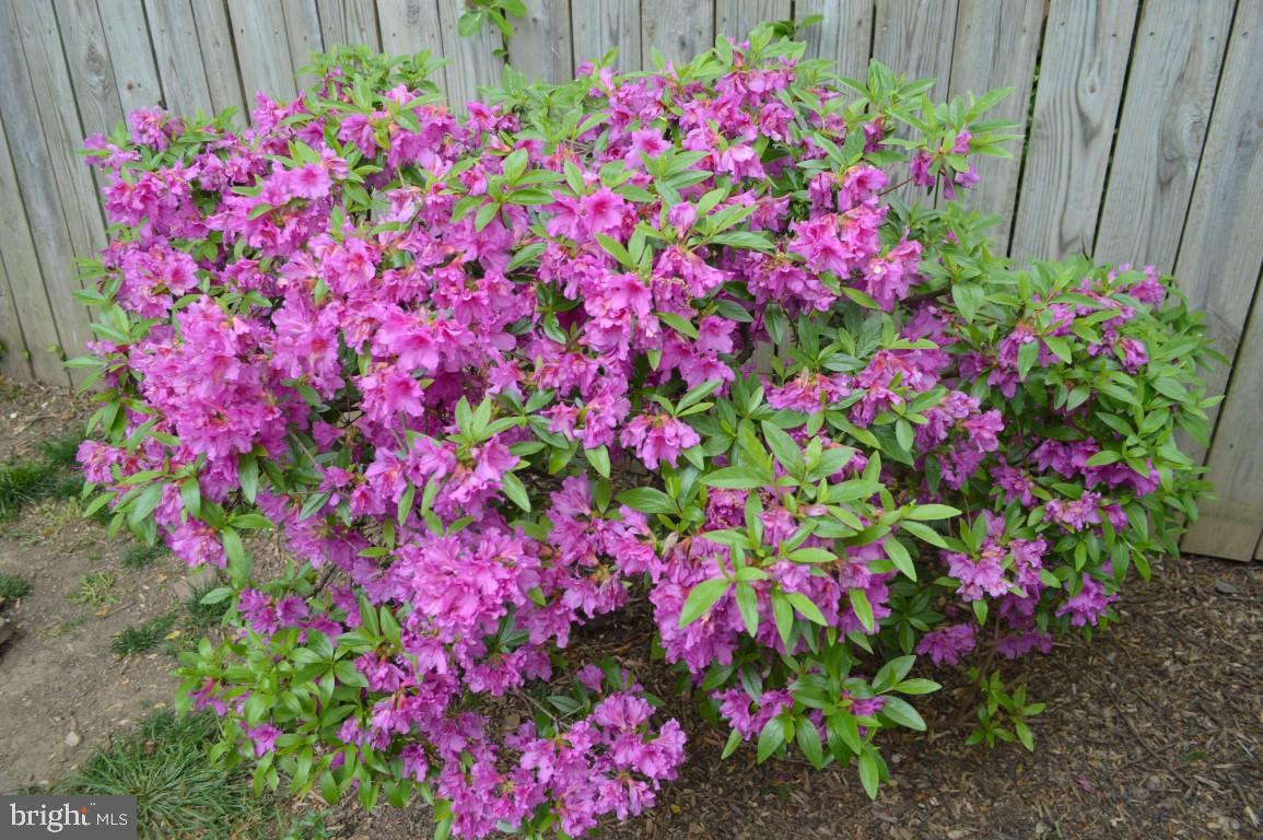 KEENE MILL MANOR - Residential