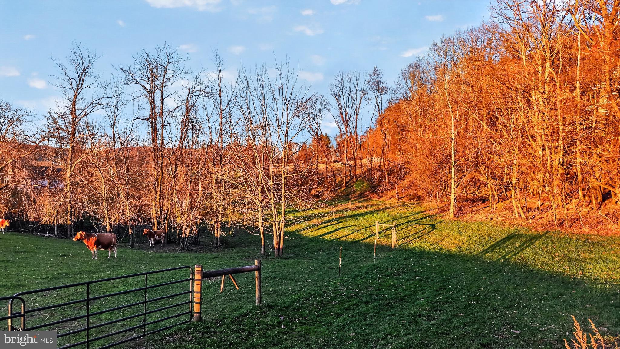 HALIFAX TOWNSHIP - Residential