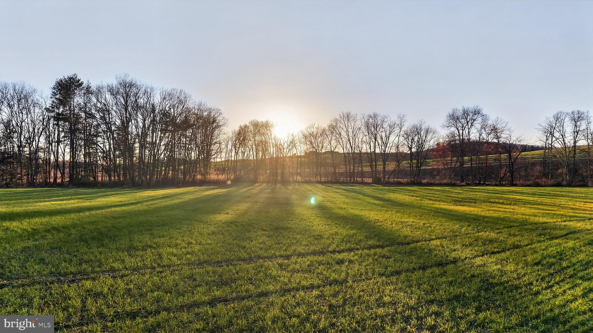 HALIFAX TOWNSHIP - Residential