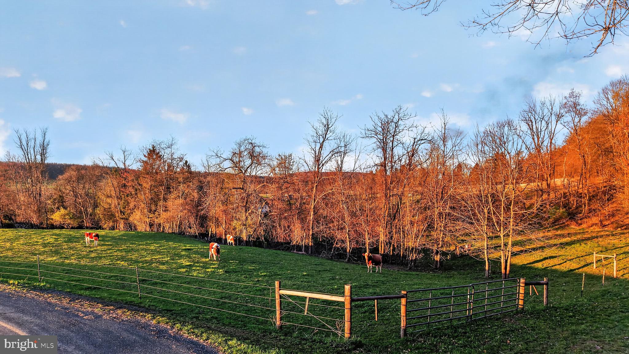 HALIFAX TOWNSHIP - Residential