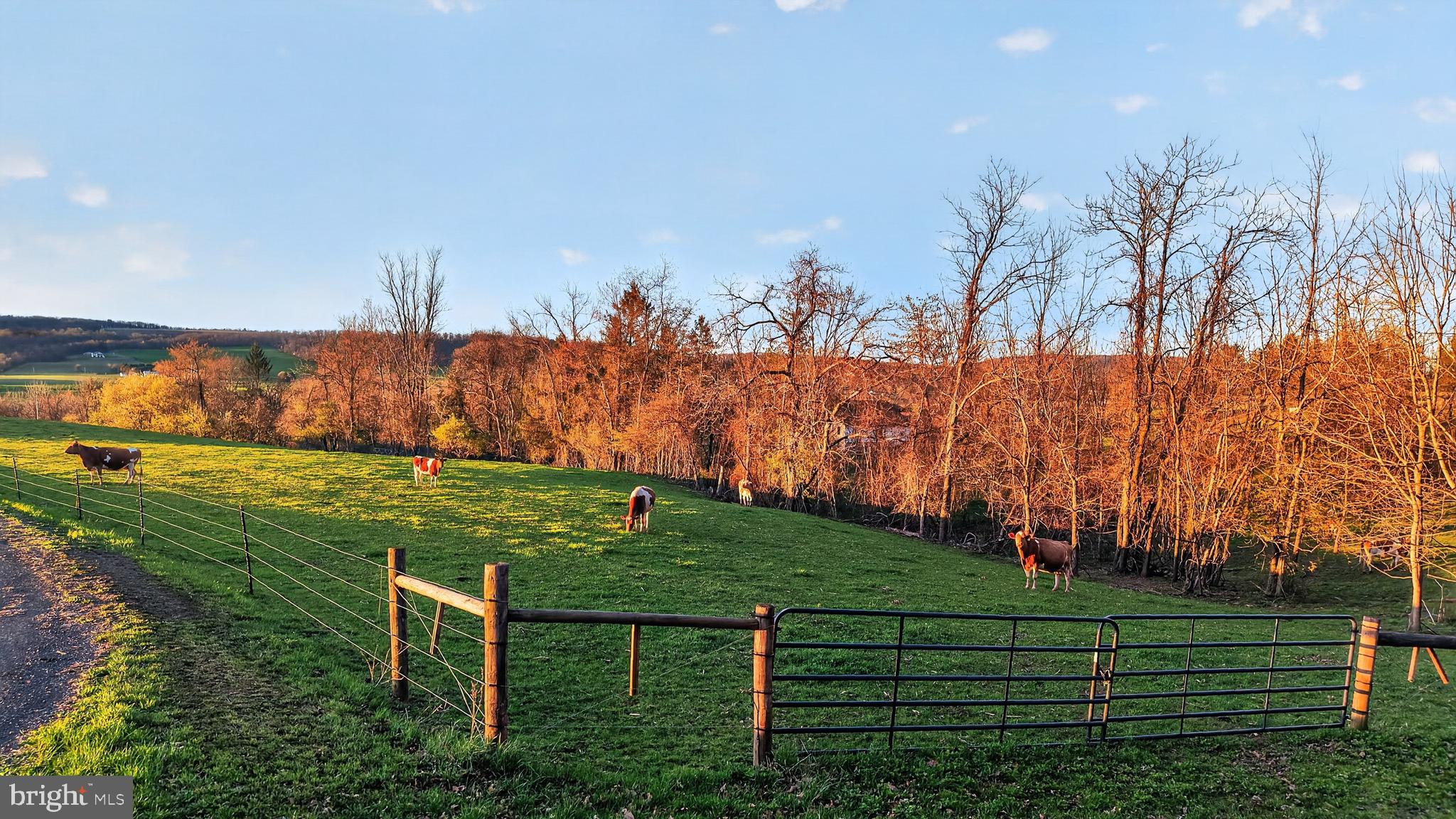 HALIFAX TOWNSHIP - Residential