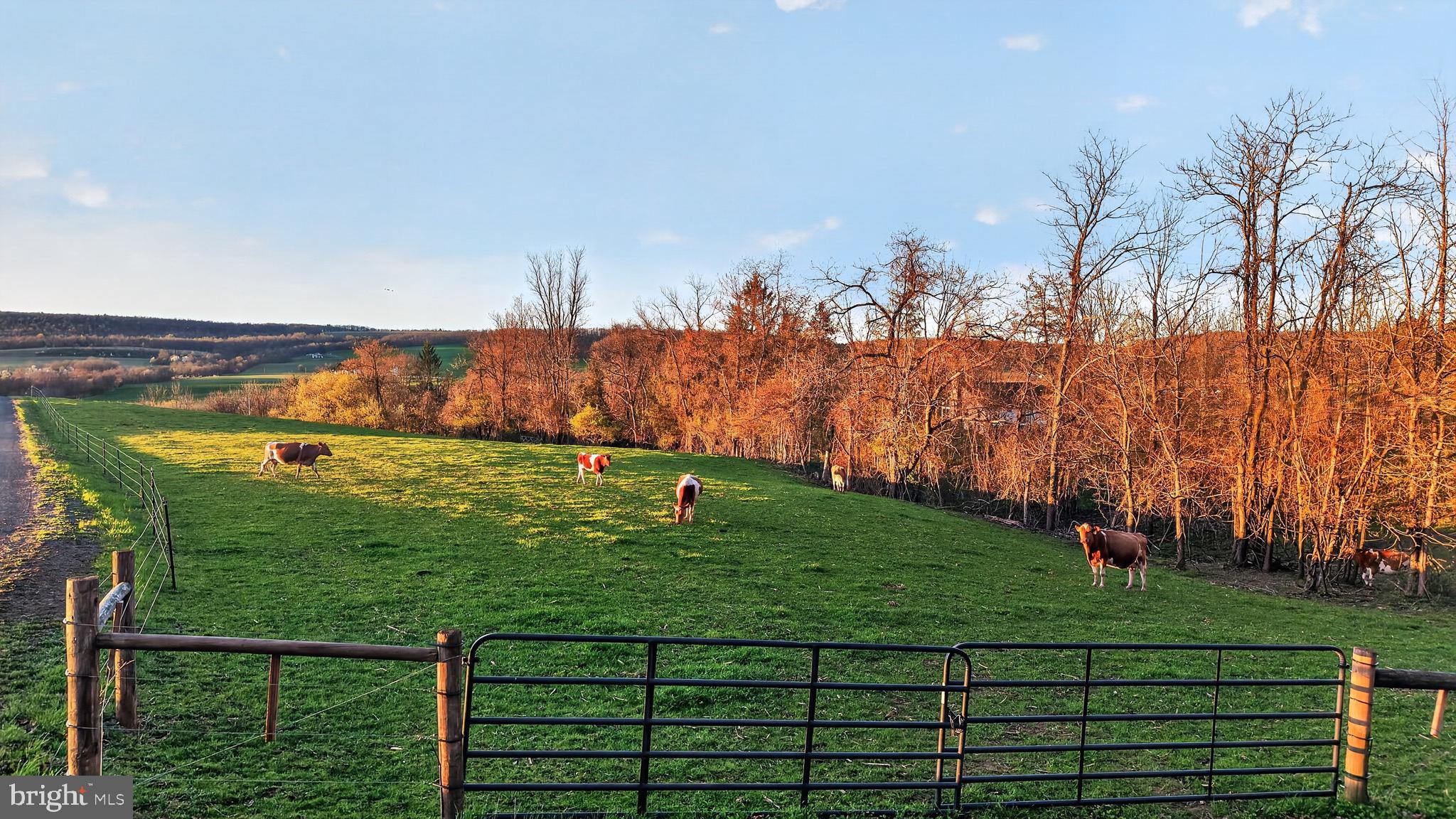 HALIFAX TOWNSHIP - Residential