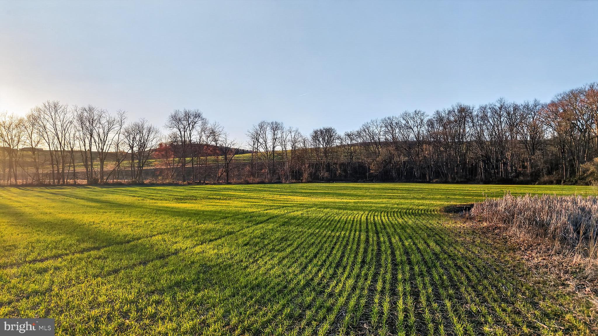 HALIFAX TOWNSHIP - Residential