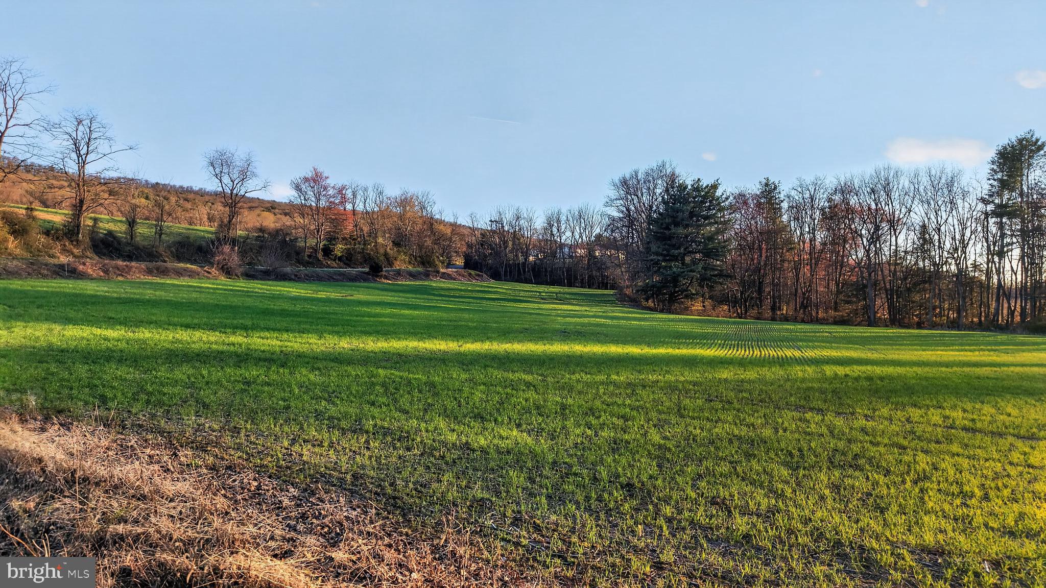 HALIFAX TOWNSHIP - Residential