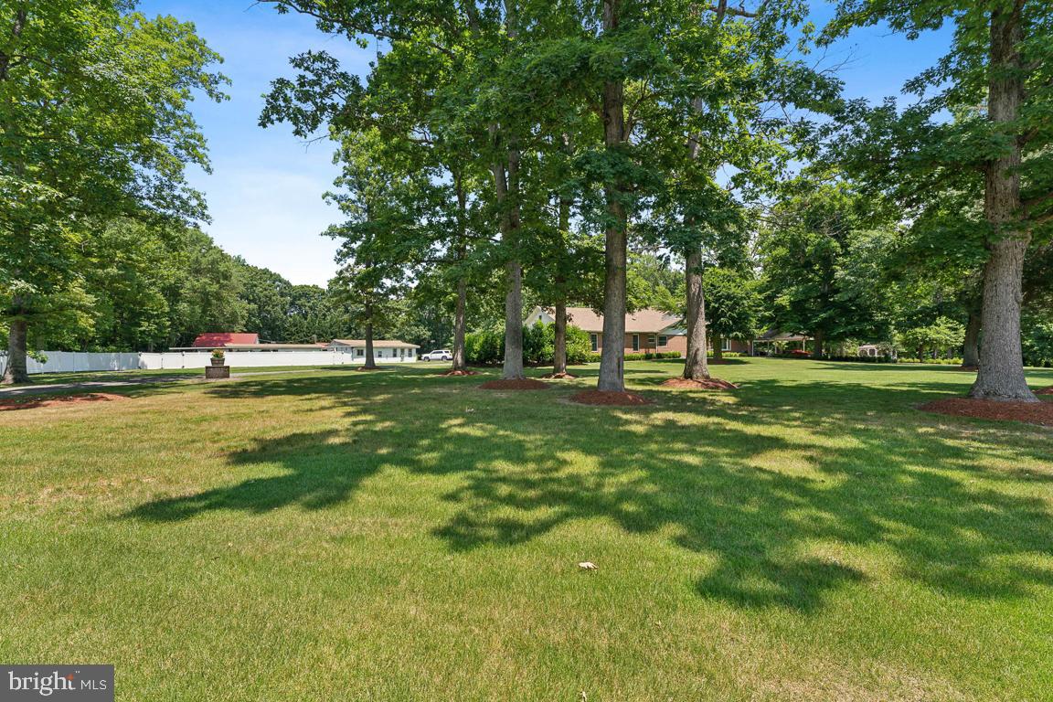 LIVINGSTON GROVE - Residential