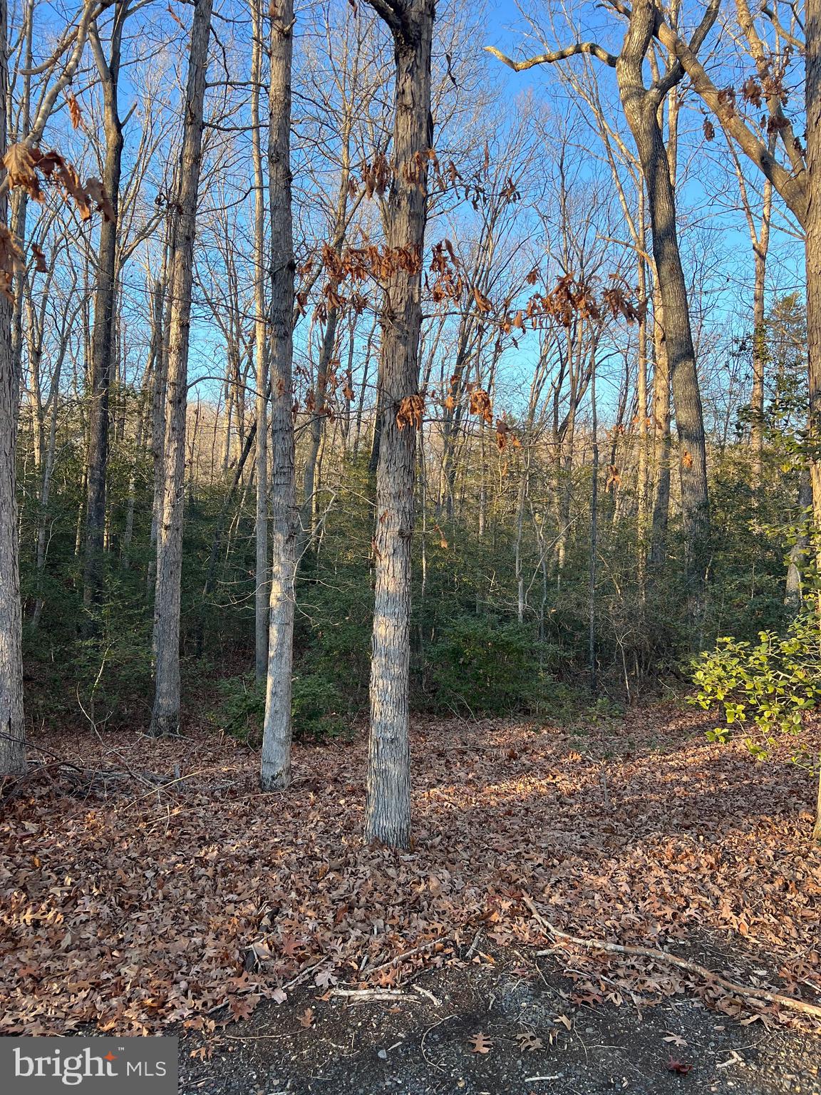 23660 PINE VIEW LANE