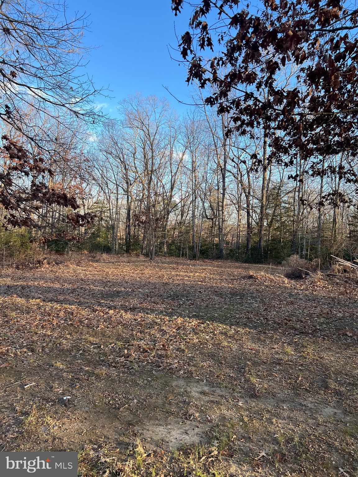 23660 PINE VIEW LANE