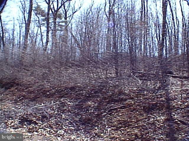 GREEN RIDGE - Land