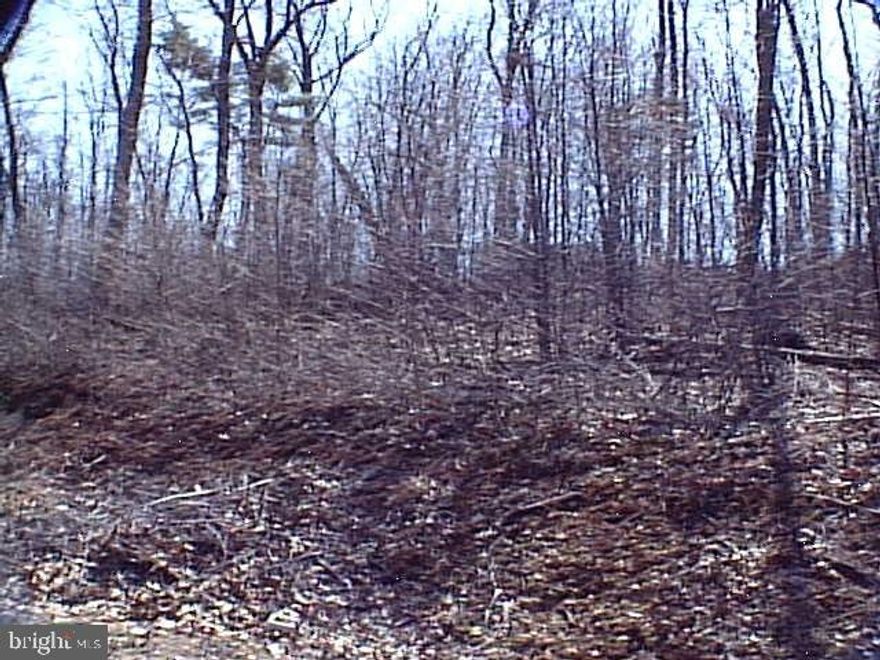 Close to Rt. 30, schools and shopping. Public water & sewer available.