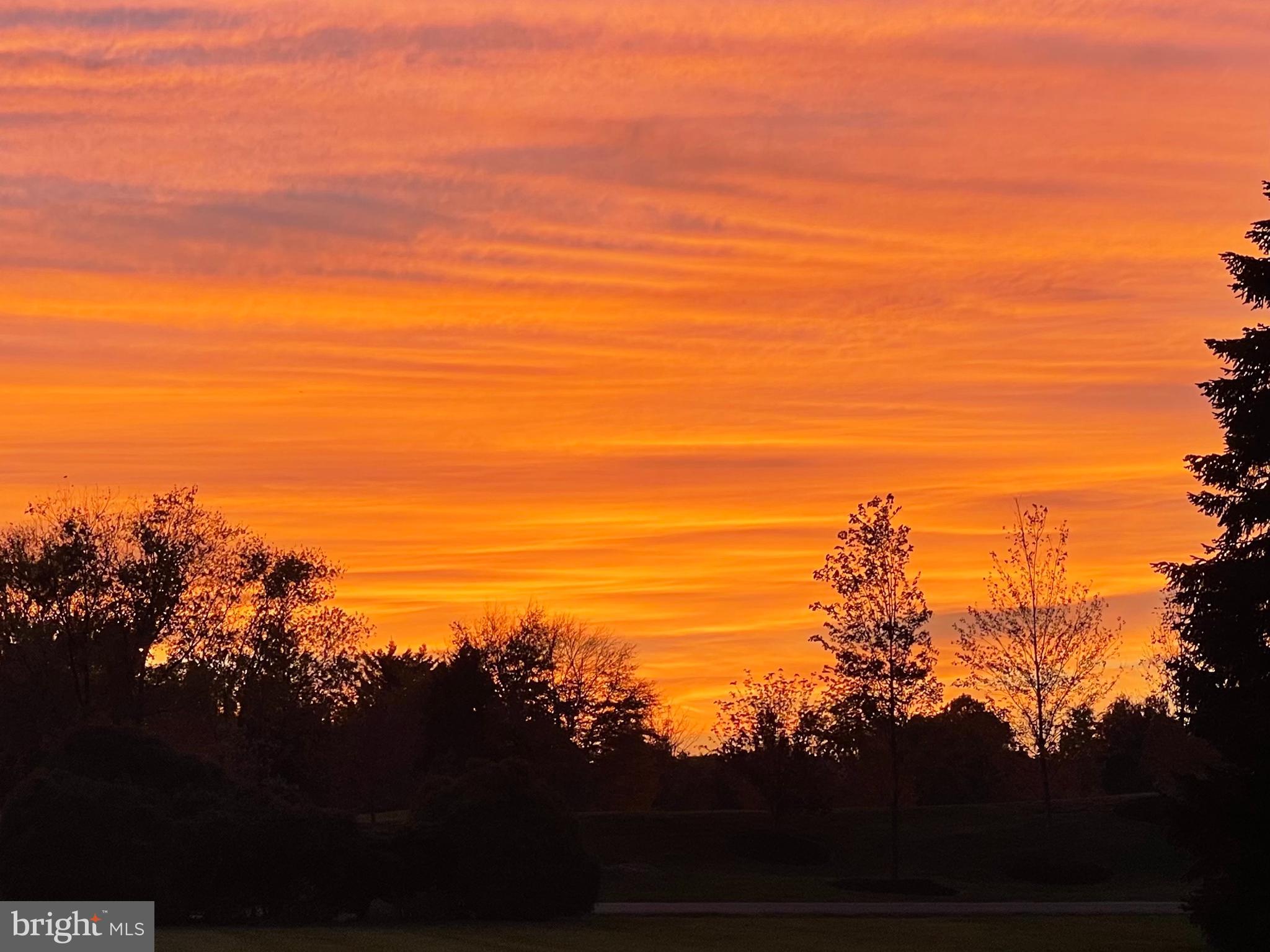 MARTINGHAM - Residential