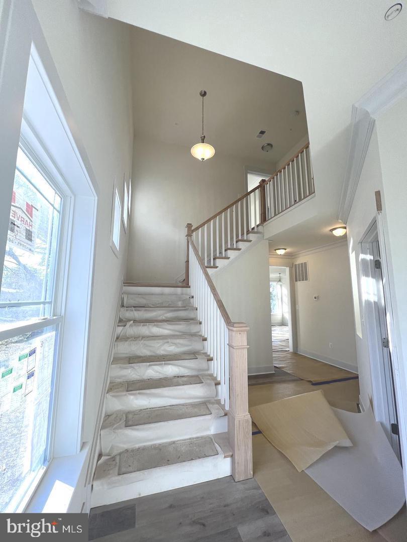 CAPE ST CLAIRE - Residential