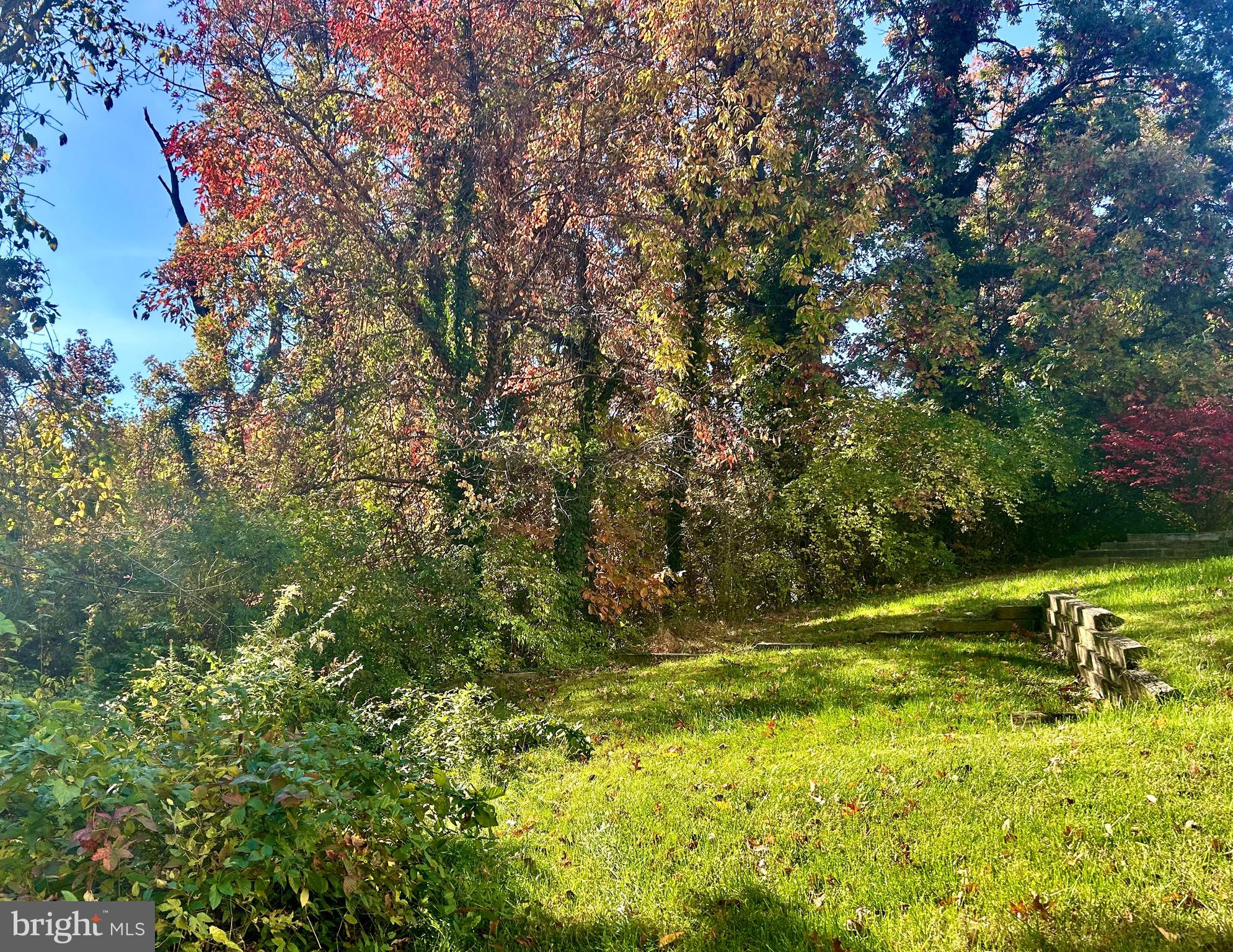 THE OAKS AT SIXTY FIFTH - Residential