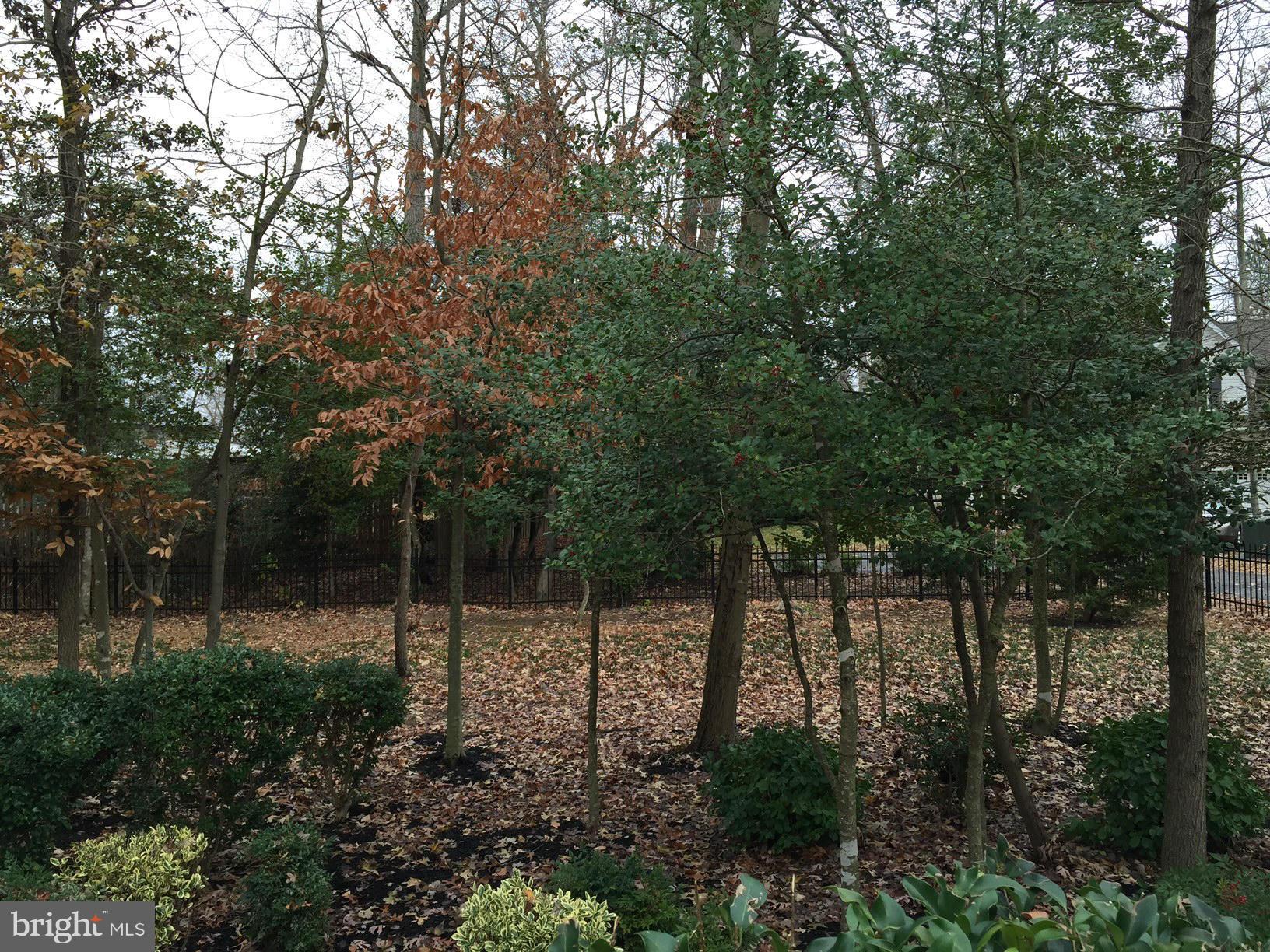 ESTATES AT SINGLETREE - Residential Lease