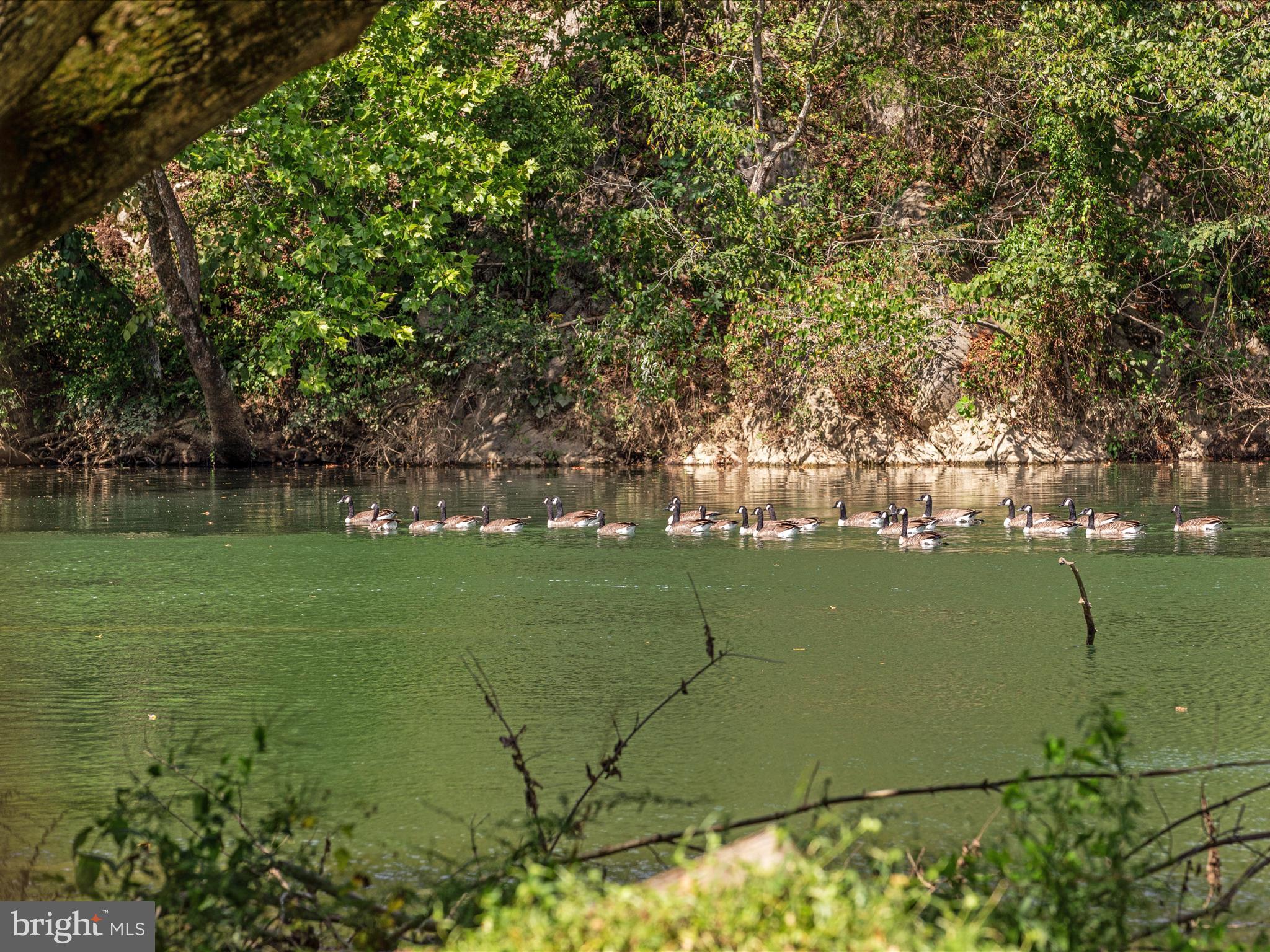 CLIFFSIDE - Residential