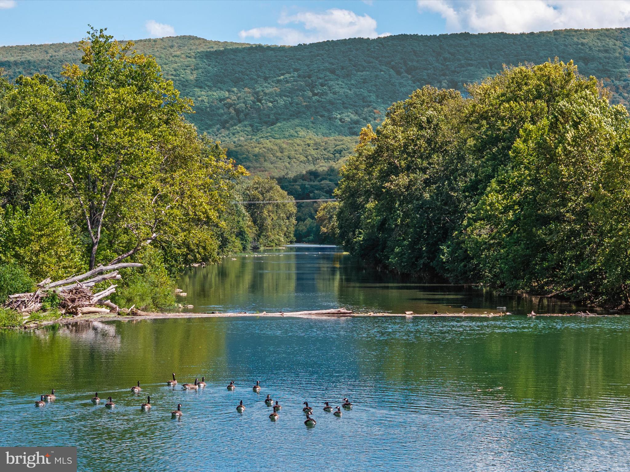 CLIFFSIDE - Residential